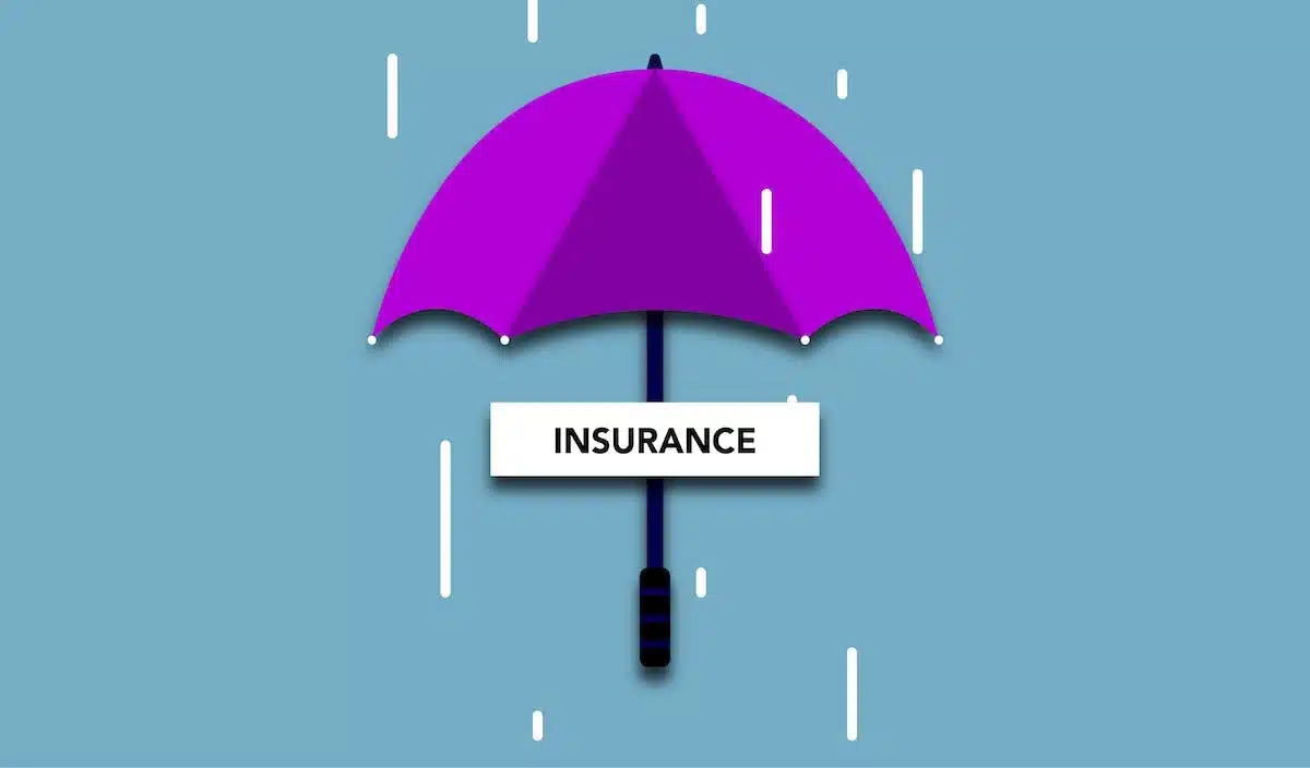 assurance  économie