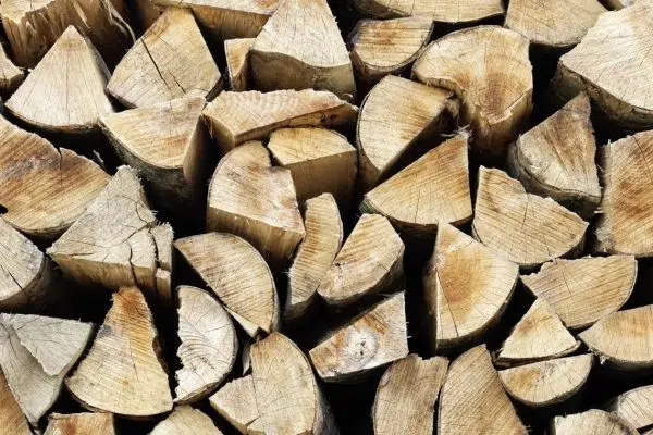 Quel est le prix d’un stère de bois de chauffage ?