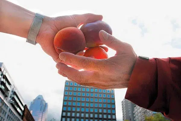 Explications sur l’économie de marché
