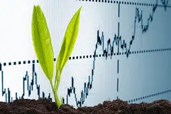 Où avoir les meilleurs conseils boursiers ?